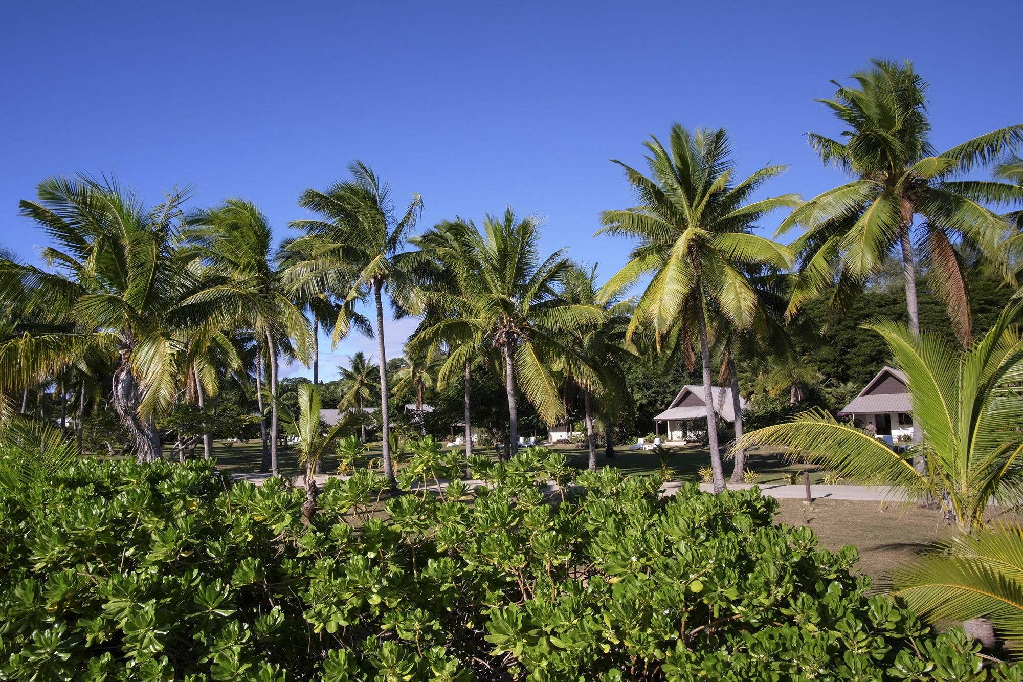 Musket Cove Island Resort Malololailai Dış mekan fotoğraf